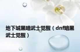 地下城黑暗武士觉醒（dnf暗黑武士觉醒）