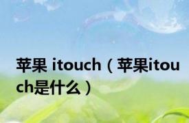 苹果 itouch（苹果itouch是什么）