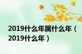 2019什么年属什么年（2019什么年）