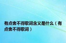 有点舍不得歌词含义是什么（有点舍不得歌词）