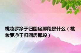 桃妆罗净于归圆房那段是什么（桃妆罗净于归圆房那段）