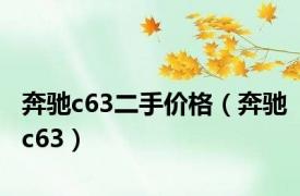 奔驰c63二手价格（奔驰c63）