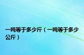 一吨等于多少斤（一吨等于多少公斤）