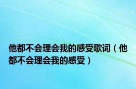 他都不会理会我的感受歌词（他都不会理会我的感受）