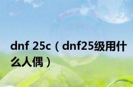 dnf 25c（dnf25级用什么人偶）