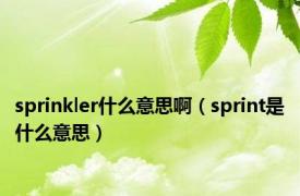 sprinkler什么意思啊（sprint是什么意思）