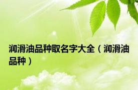 润滑油品种取名字大全（润滑油品种）