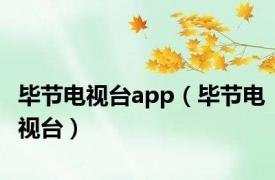 毕节电视台app（毕节电视台）