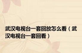 武汉电视台一套回放怎么看（武汉电视台一套回看）