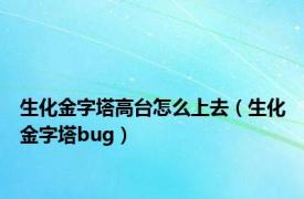 生化金字塔高台怎么上去（生化金字塔bug）