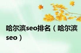 哈尔滨seo排名（哈尔滨seo）