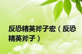 反恐精英斧子宏（反恐精英斧子）