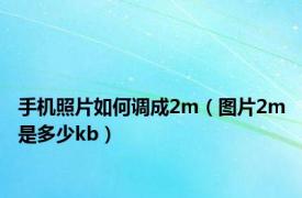 手机照片如何调成2m（图片2m是多少kb）