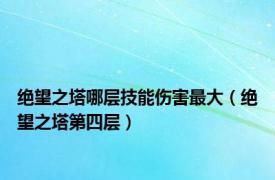 绝望之塔哪层技能伤害最大（绝望之塔第四层）