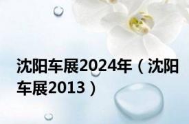 沈阳车展2024年（沈阳车展2013）