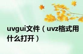 uvgui文件（uvz格式用什么打开）