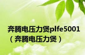 奔腾电压力煲plfe5001（奔腾电压力煲）