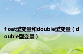 float型变量和double型变量（double型变量）