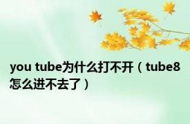 you tube为什么打不开（tube8怎么进不去了）