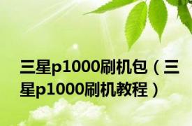 三星p1000刷机包（三星p1000刷机教程）