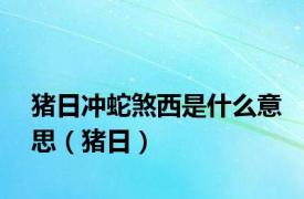 猪日冲蛇煞西是什么意思（猪日）