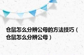 仓鼠怎么分辨公母的方法技巧（仓鼠怎么分辨公母）