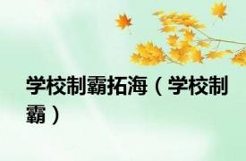 学校制霸拓海（学校制霸）