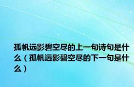 孤帆远影碧空尽的上一句诗句是什么（孤帆远影碧空尽的下一句是什么）