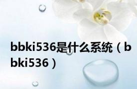 bbki536是什么系统（bbki536）