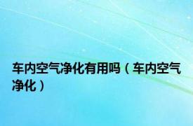 车内空气净化有用吗（车内空气净化）