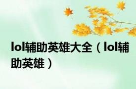 lol辅助英雄大全（lol辅助英雄）