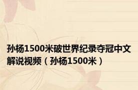 孙杨1500米破世界纪录夺冠中文解说视频（孙杨1500米）