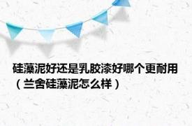 硅藻泥好还是乳胶漆好哪个更耐用（兰舍硅藻泥怎么样）