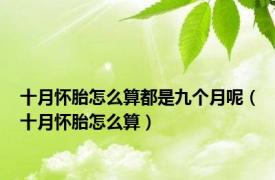 十月怀胎怎么算都是九个月呢（十月怀胎怎么算）