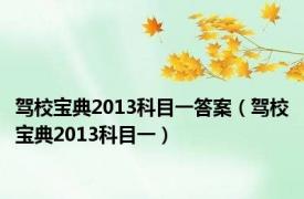 驾校宝典2013科目一答案（驾校宝典2013科目一）