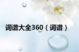 词谱大全360（词谱）