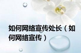 如何网络宣传处长（如何网络宣传）