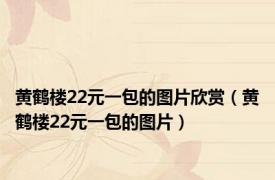 黄鹤楼22元一包的图片欣赏（黄鹤楼22元一包的图片）