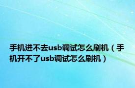 手机进不去usb调试怎么刷机（手机开不了usb调试怎么刷机）