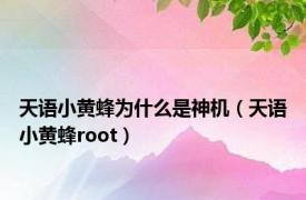 天语小黄蜂为什么是神机（天语小黄蜂root）