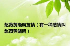 赵薇黄晓明友情（有一种感情叫赵薇黄晓明）