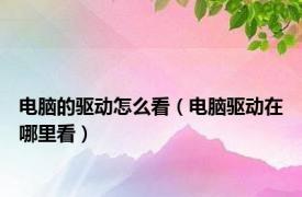 电脑的驱动怎么看（电脑驱动在哪里看）