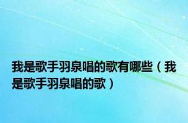 我是歌手羽泉唱的歌有哪些（我是歌手羽泉唱的歌）