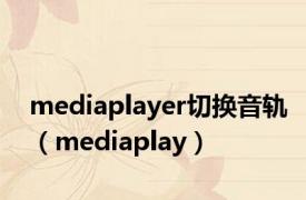 mediaplayer切换音轨（mediaplay）