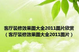 客厅装修效果图大全2011图片欣赏（客厅装修效果图大全2011图片）