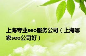 上海专业seo服务公司（上海哪家seo公司好）