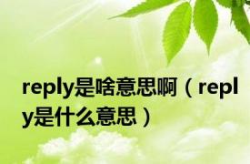 reply是啥意思啊（reply是什么意思）