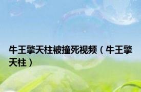 牛王擎天柱被撞死视频（牛王擎天柱）