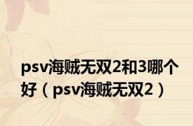 psv海贼无双2和3哪个好（psv海贼无双2）