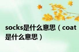 socks是什么意思（coat是什么意思）